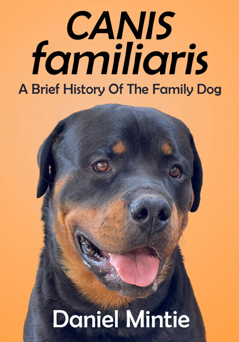 CANIS Familiaris A Brief History of The Family Dog